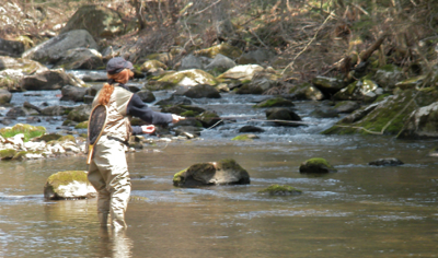 TROUT FISHING AT BLACKBERRY BROOK